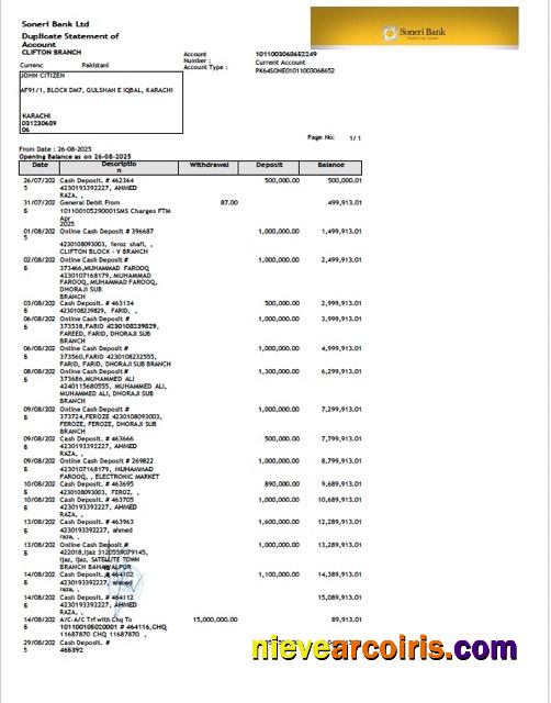 Pakistan Soneri Bank statement of account Word and PDF